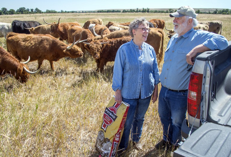 Jim and Cindy Kittredge have a herd of Highland cows of Scottish ancestry.